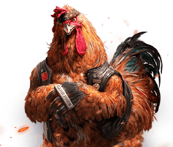 Slotmetawin Cockfight